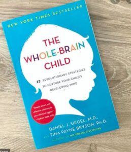 Read more about the article Parenting Resource: The Whole-Brain Child