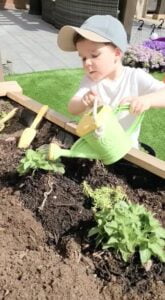 Read more about the article Ready, Set, Spring into Garden Mode!